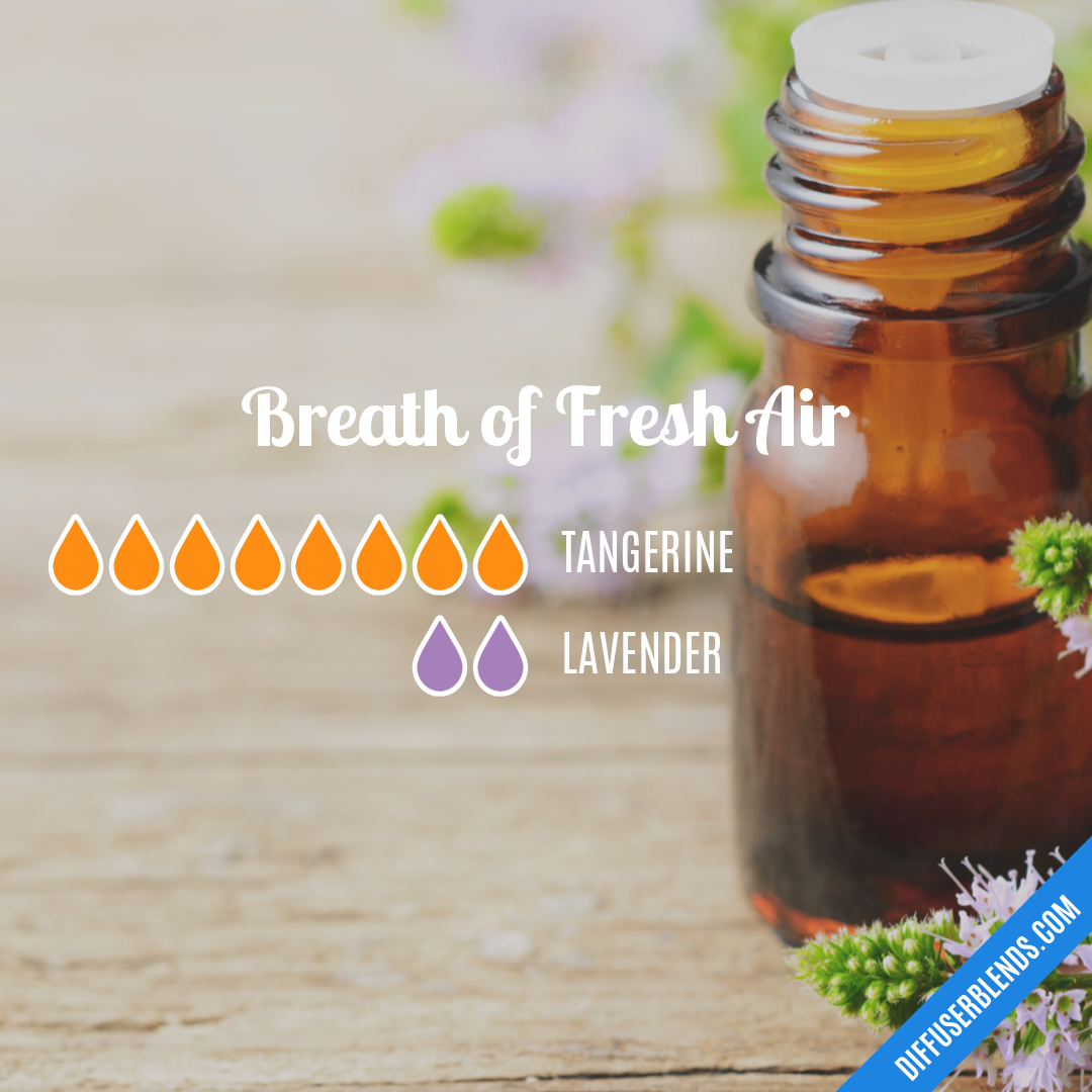 Breath of Fresh Air — Essential Oil Diffuser Blend