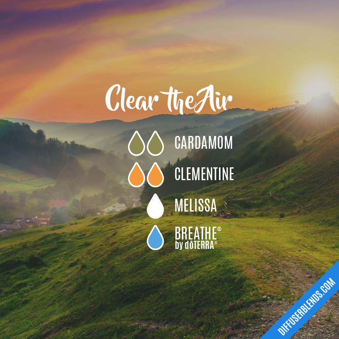 Clear the Air — Essential Oil Diffuser Blend