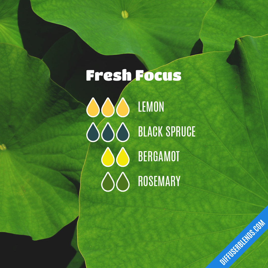 Fresh Focus — Essential Oil Diffuser Blend