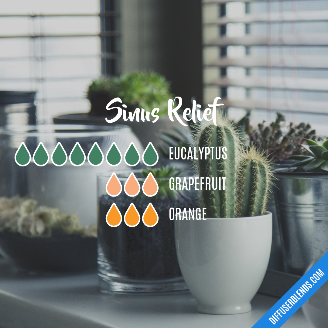 Sinus Relief — Essential Oil Diffuser Blend