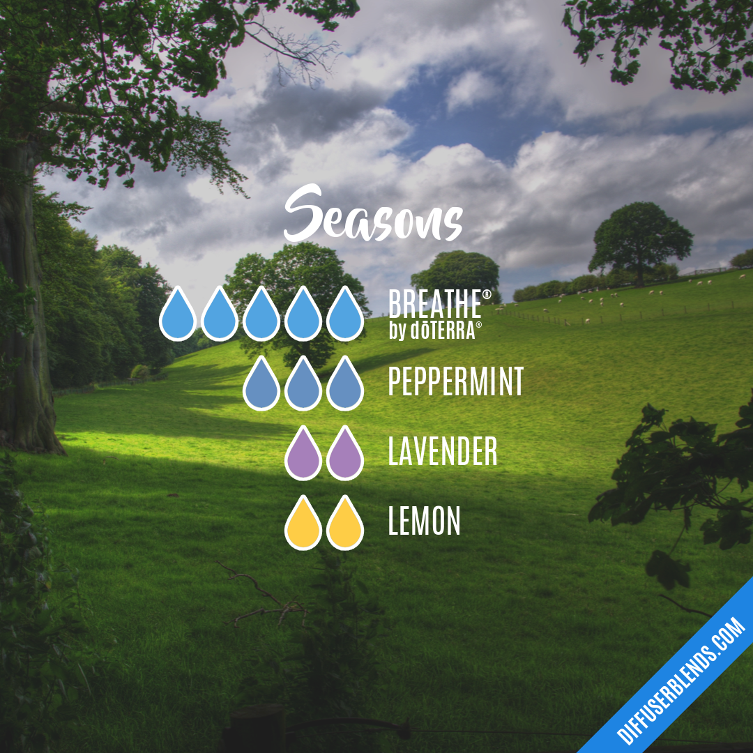 Seasons — Essential Oil Diffuser Blend