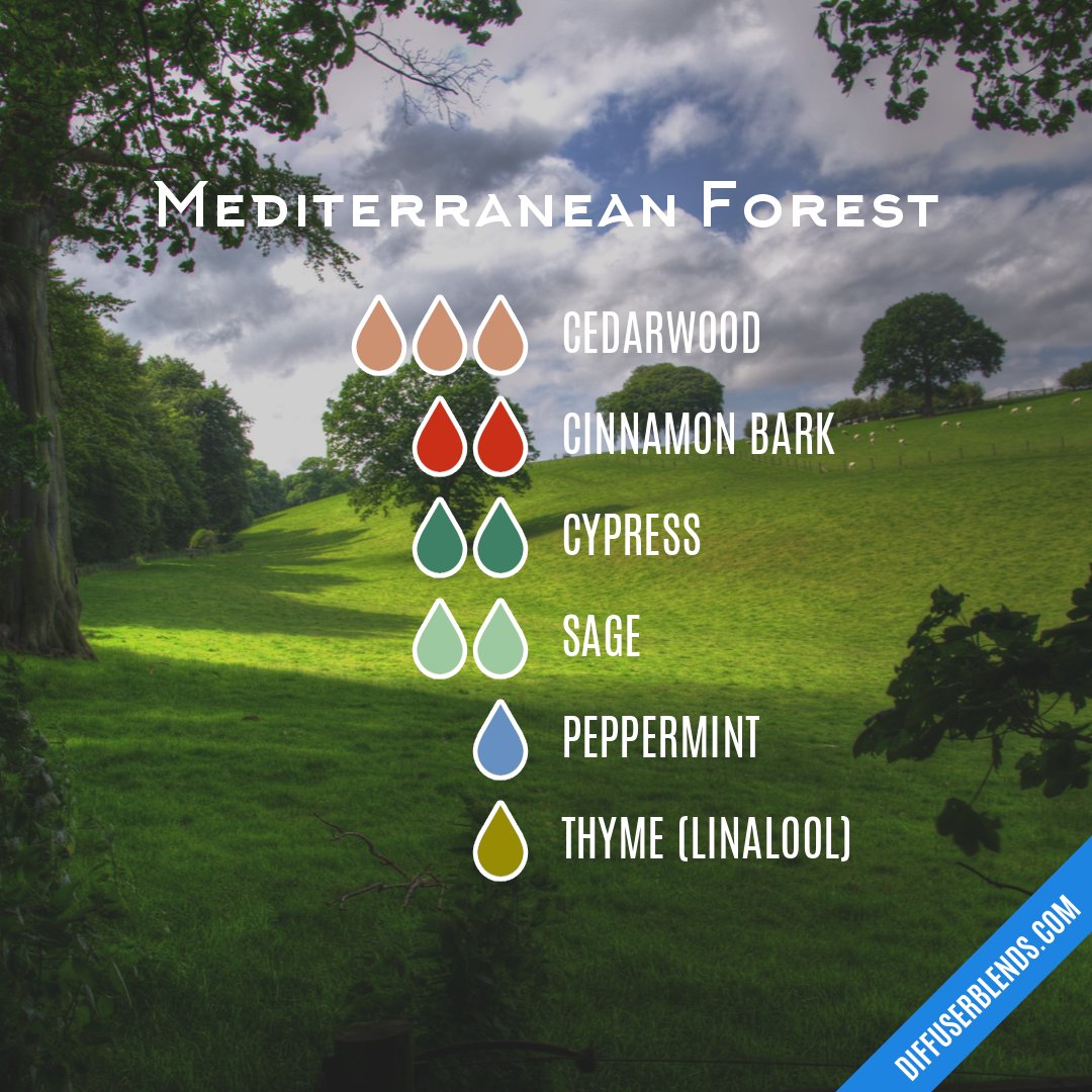 Mediterranean Forest — Essential Oil Diffuser Blend