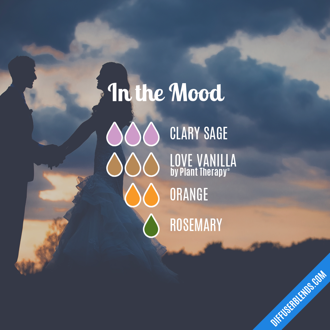 In the Mood — Essential Oil Diffuser Blend