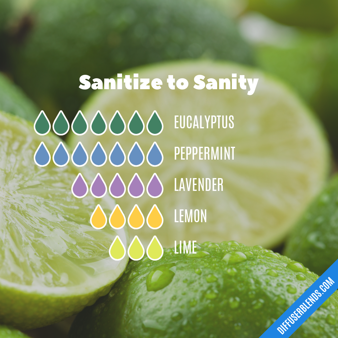 Sanitize to Sanity | DiffuserBlends.com