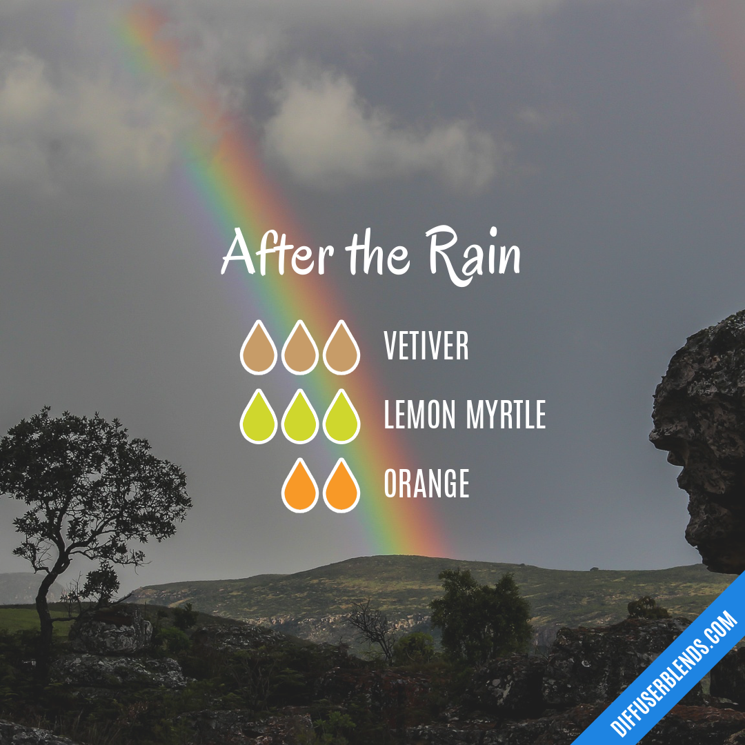 After the Rain — Essential Oil Diffuser Blend