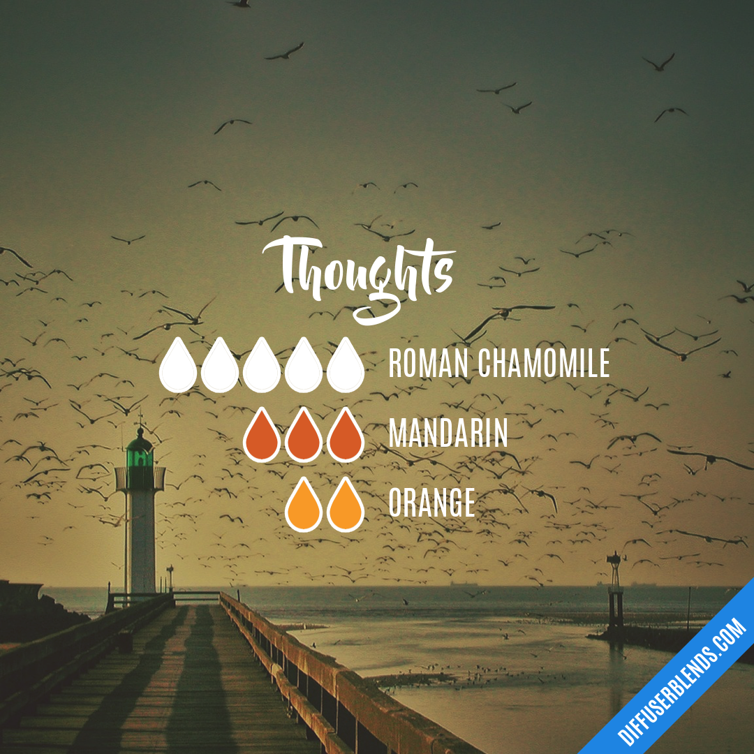 Thoughts — Essential Oil Diffuser Blend