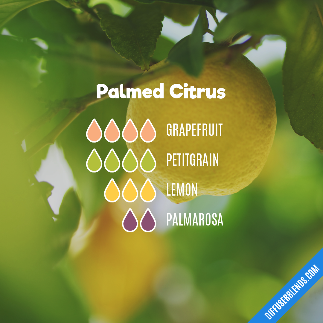 Palmed Citrus | DiffuserBlends.com