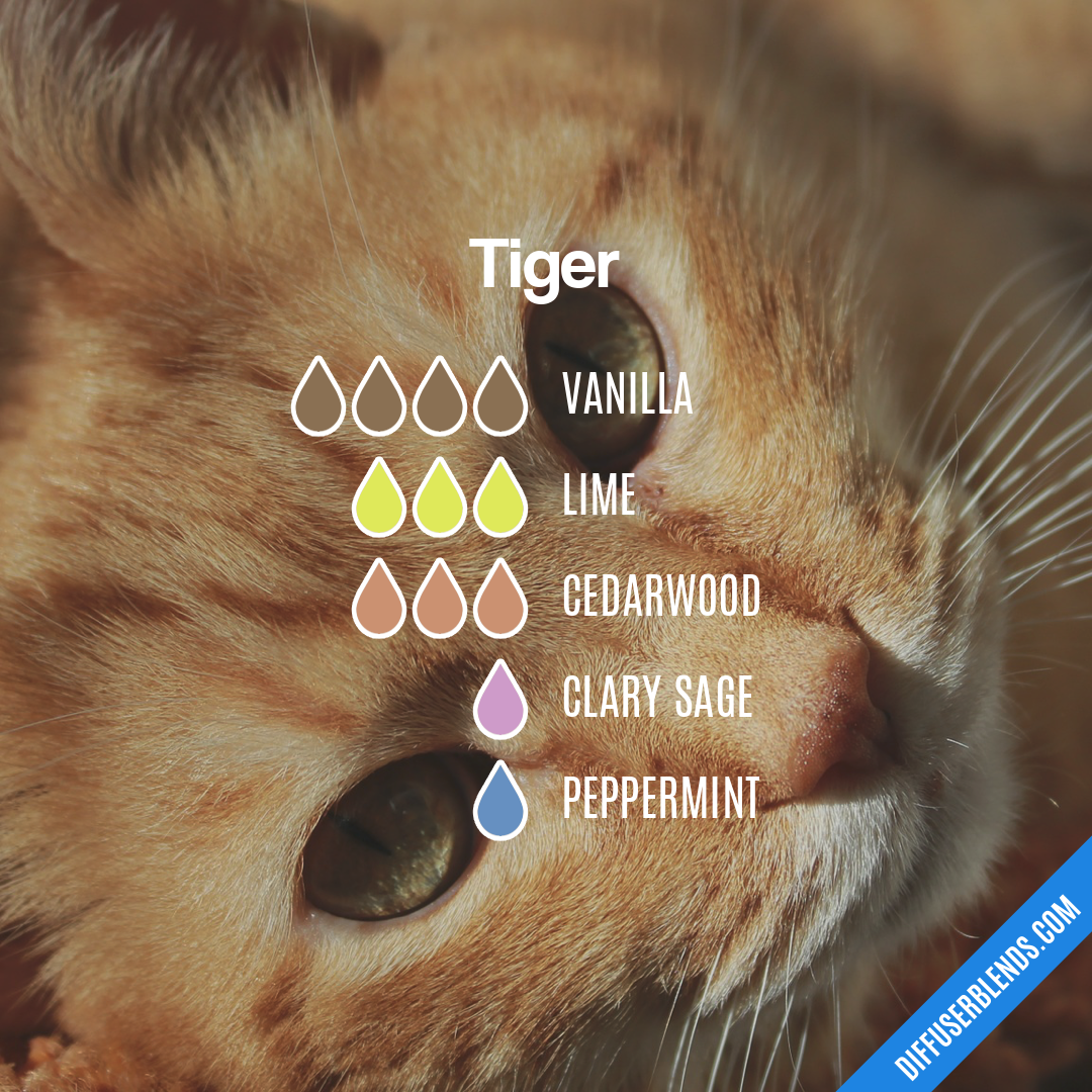 Tiger — Essential Oil Diffuser Blend