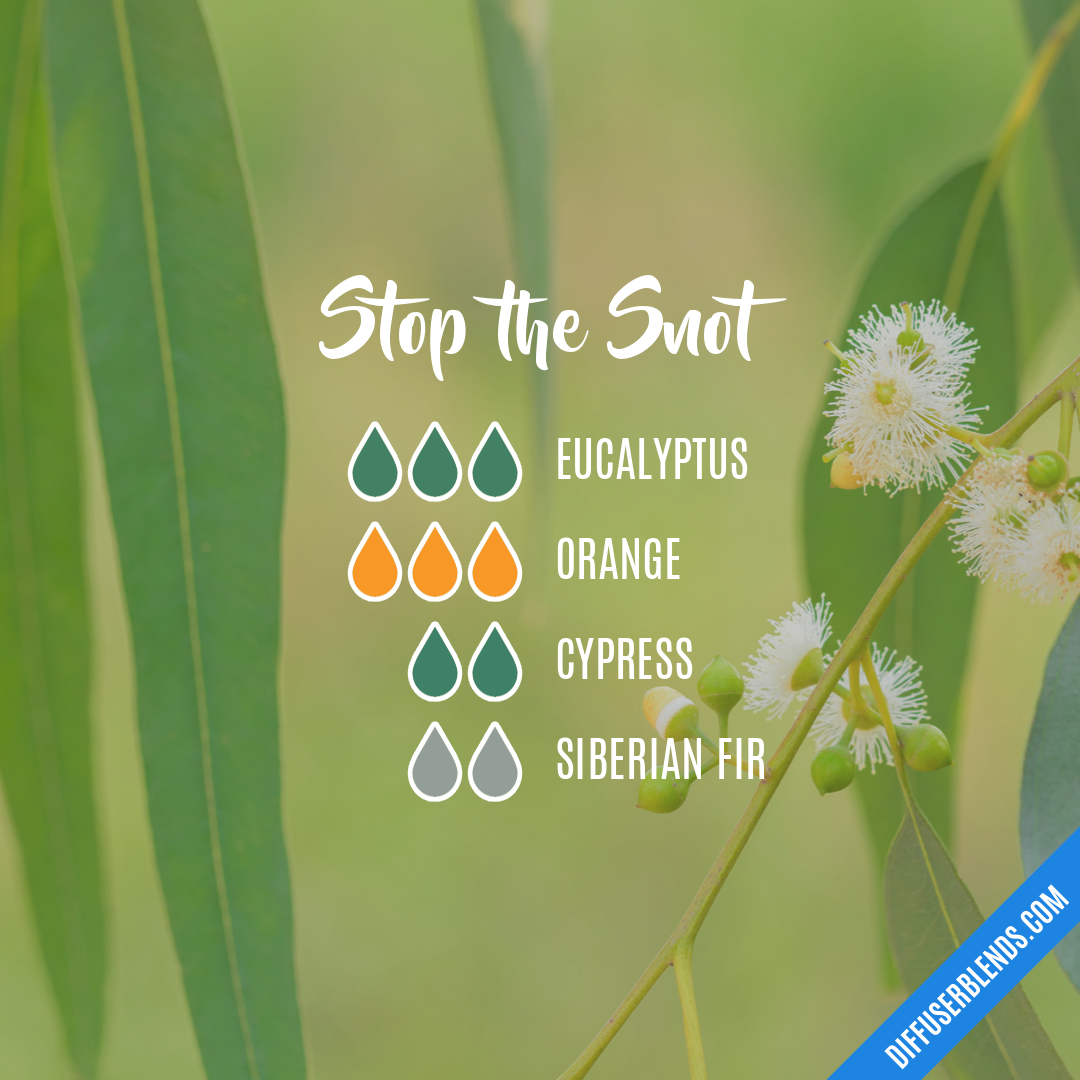 Stop the Snot — Essential Oil Diffuser Blend