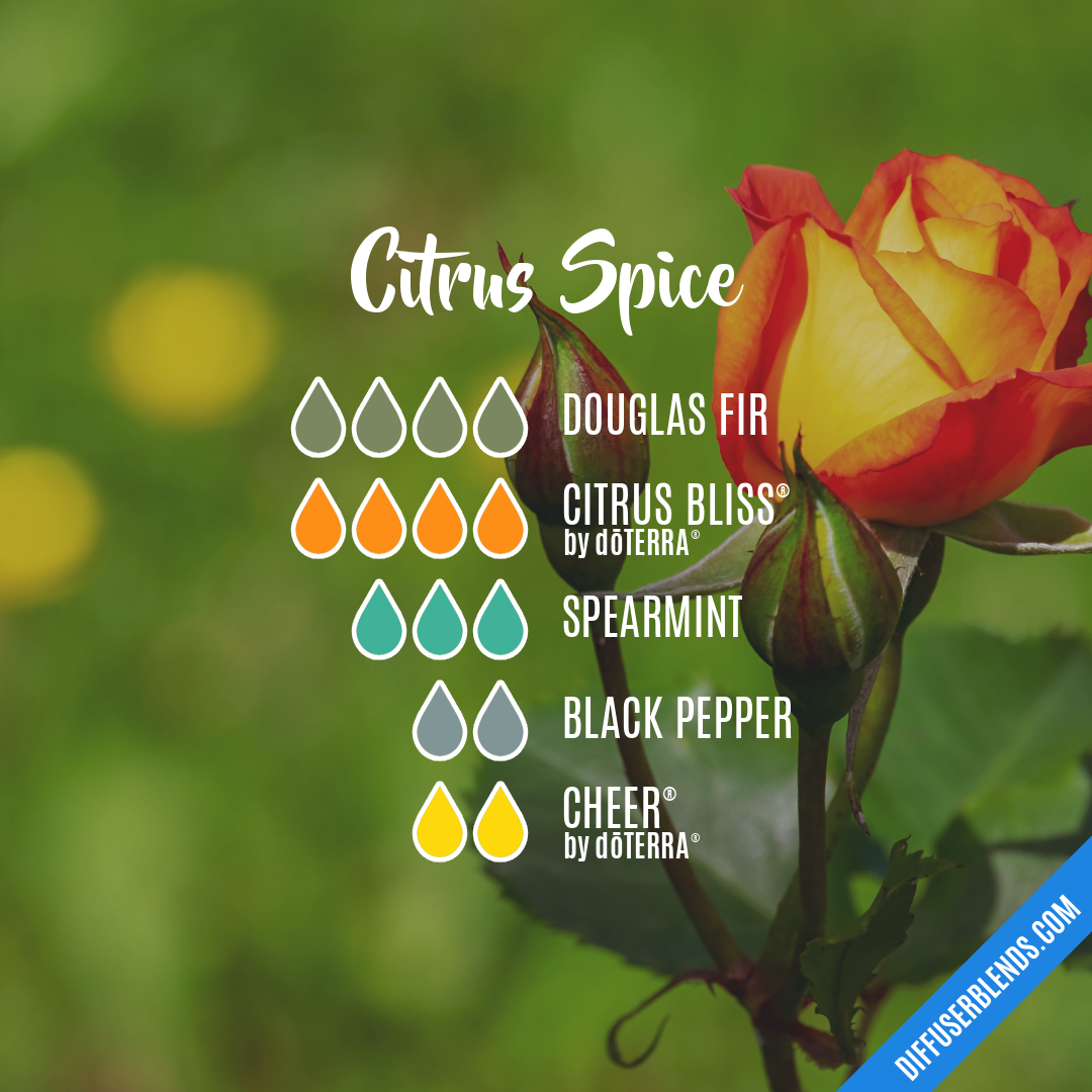 Citrus Spice — Essential Oil Diffuser Blend