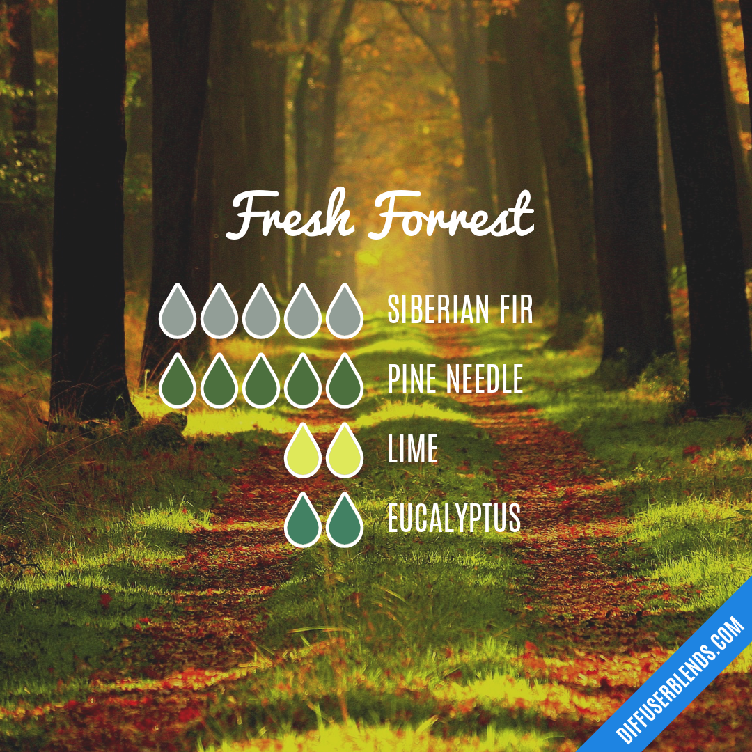 Fresh Forrest — Essential Oil Diffuser Blend