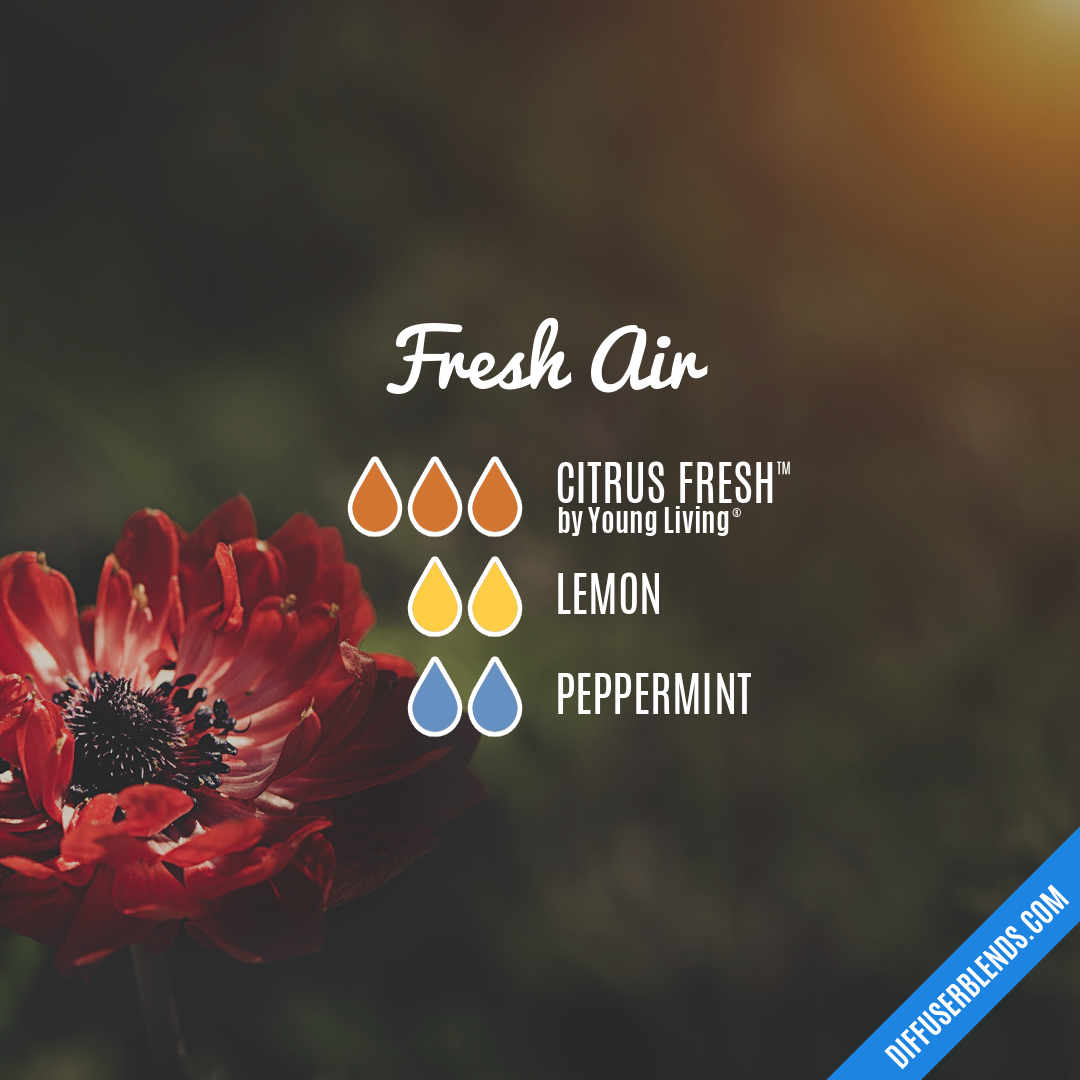 Fresh Air — Essential Oil Diffuser Blend