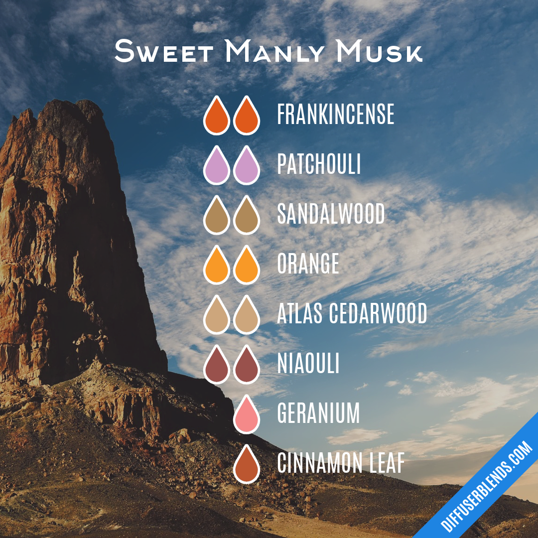 Hudson Valley Sweet Musk Oil Diffuser