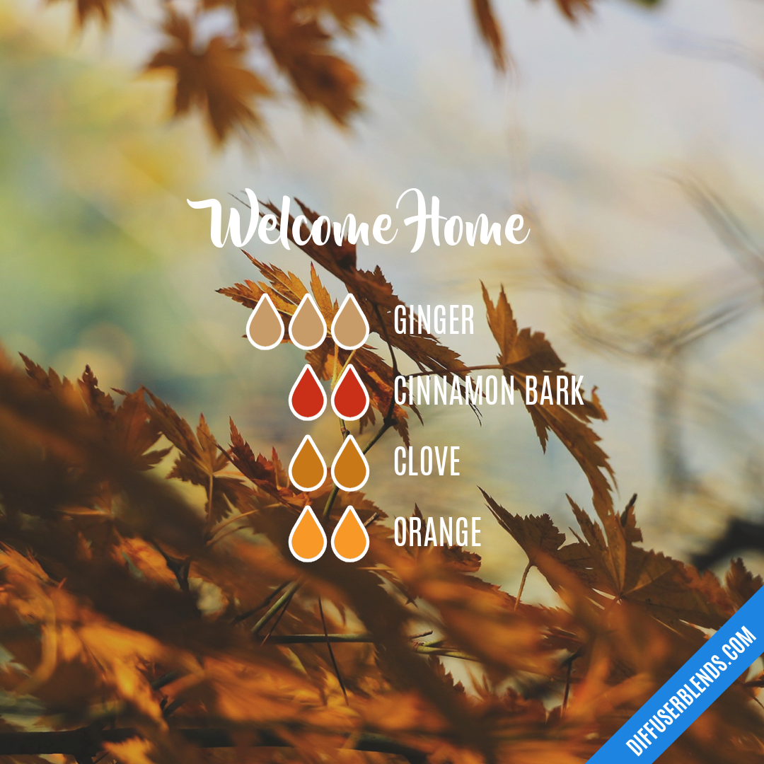 Welcome Home — Essential Oil Diffuser Blend