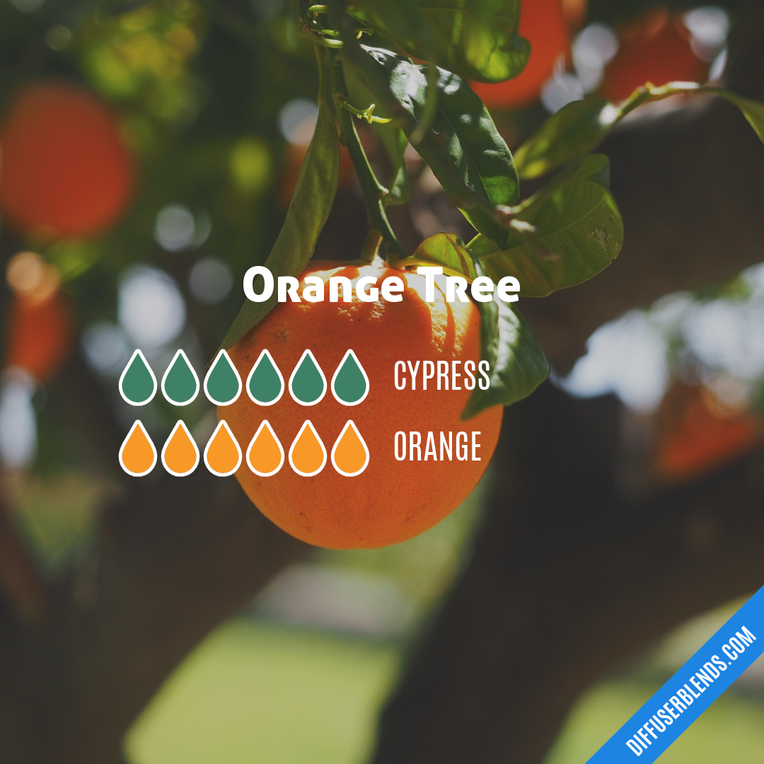 Orange Tree — Essential Oil Diffuser Blend
