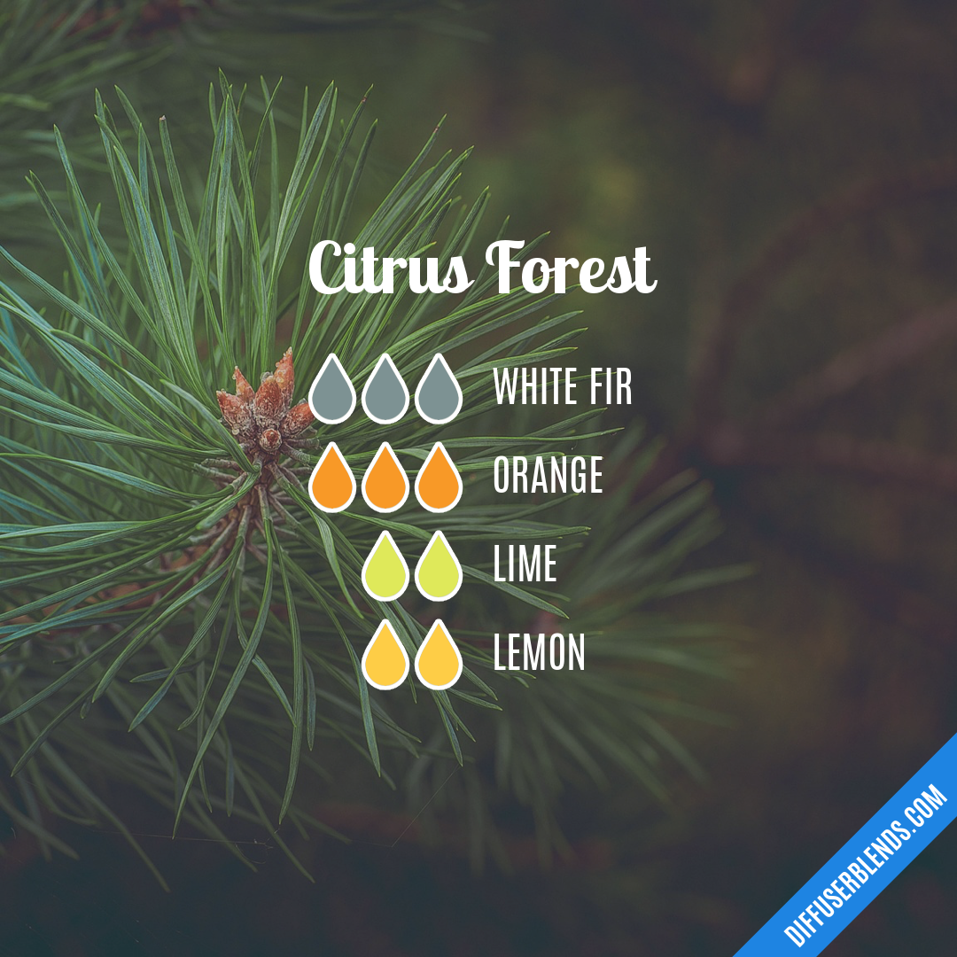 Citrus Forest — Essential Oil Diffuser Blend