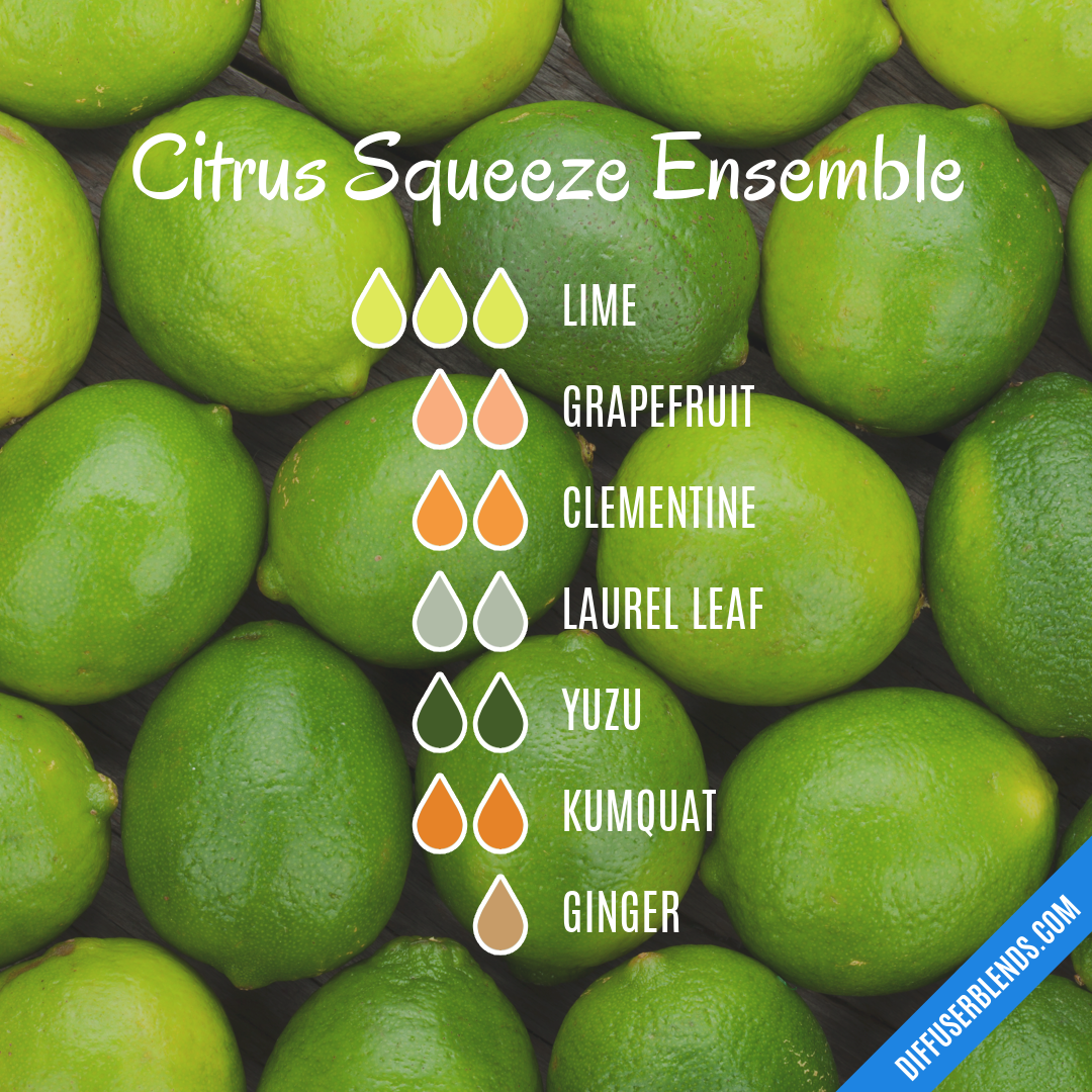 Citrus Squeeze Ensemble — Essential Oil Diffuser Blend