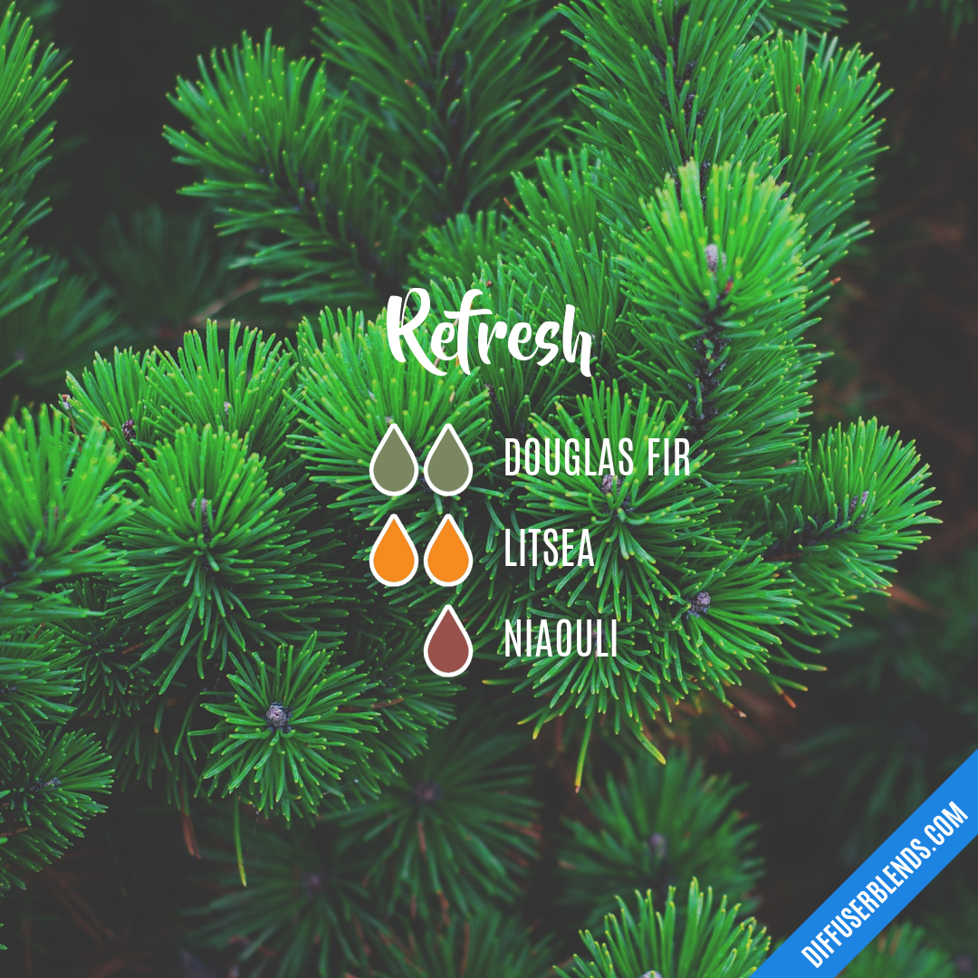 Refresh — Essential Oil Diffuser Blend