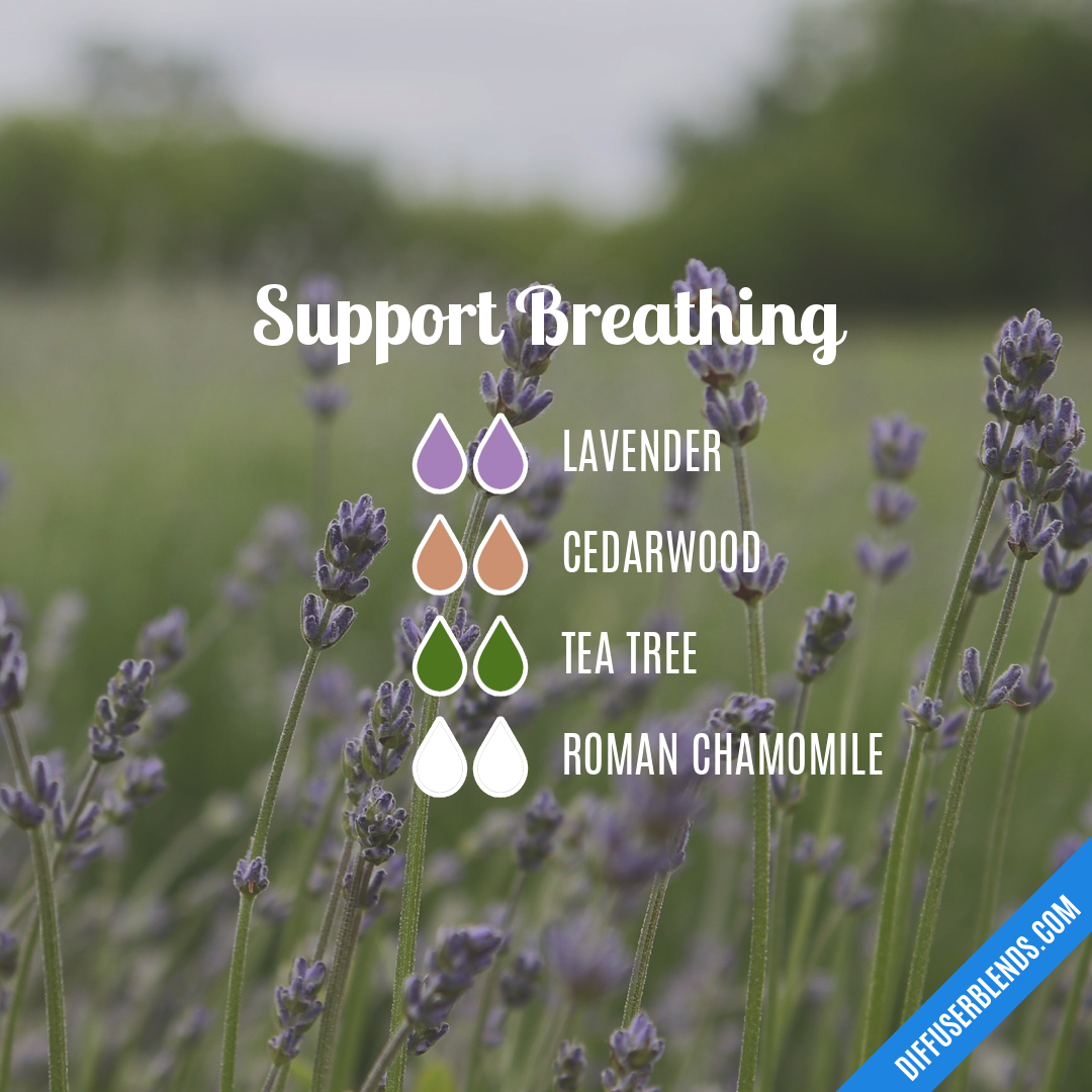 Support Breathing — Essential Oil Diffuser Blend