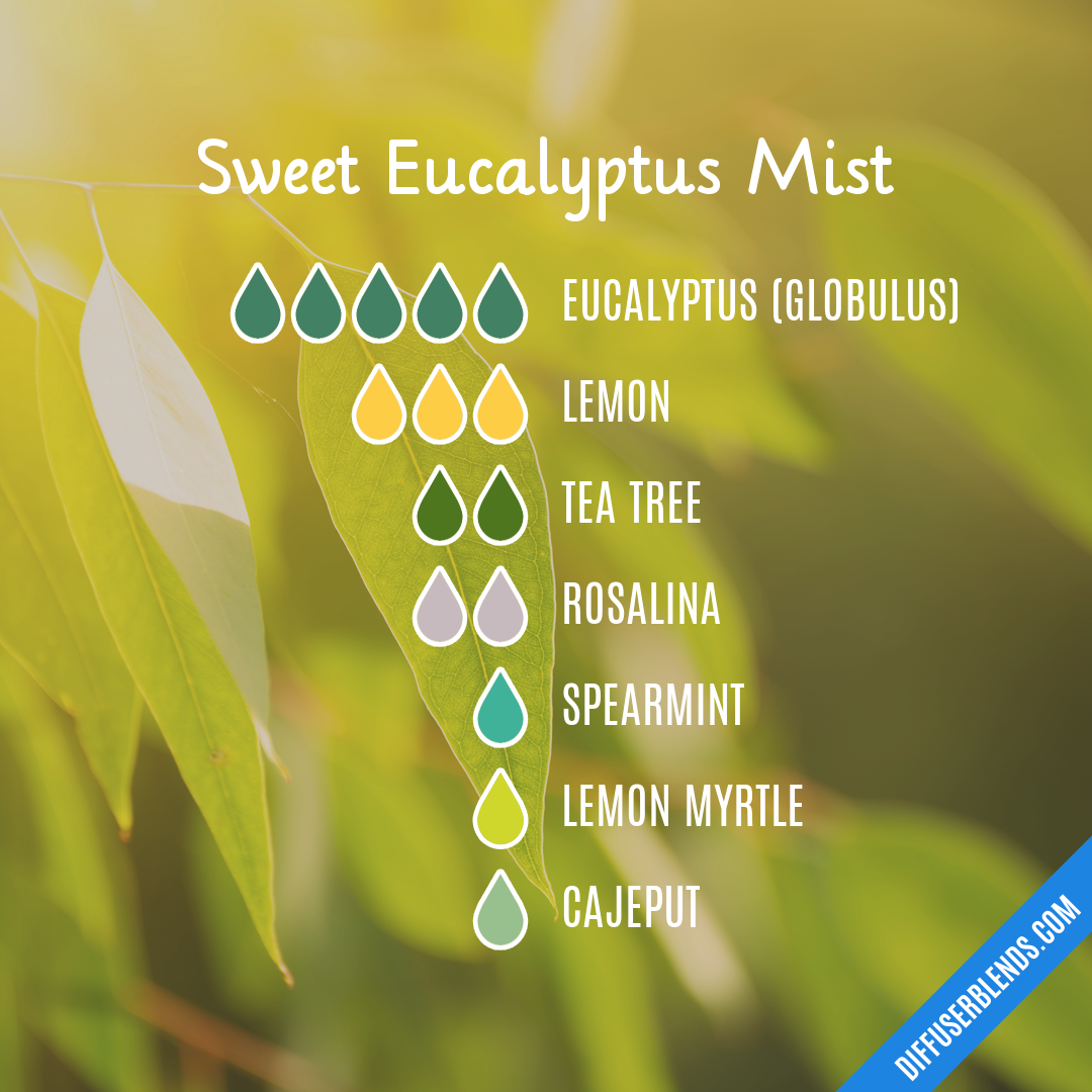 Sweet Eucalyptus Mist — Essential Oil Diffuser Blend