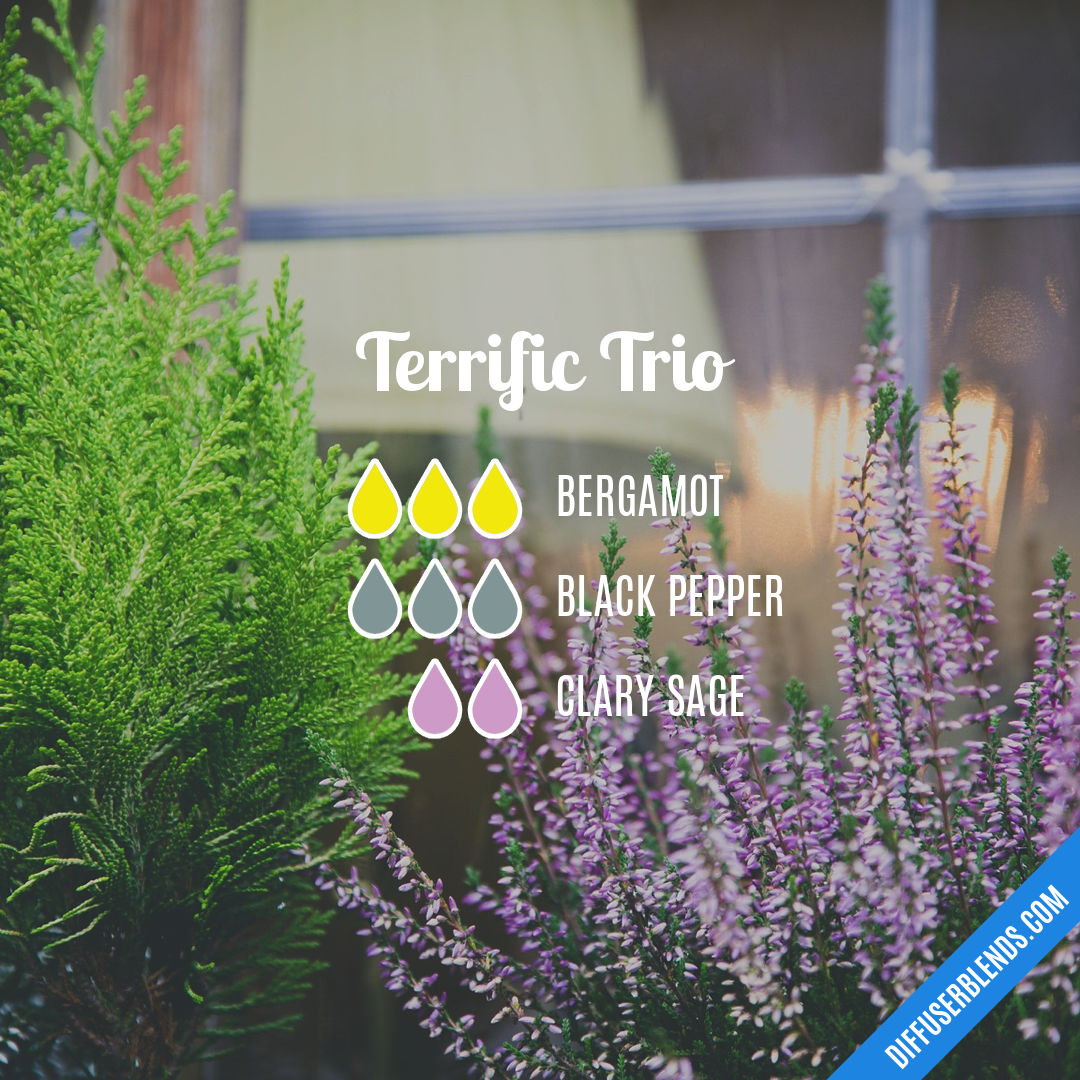 Terrific Trio — Essential Oil Diffuser Blend