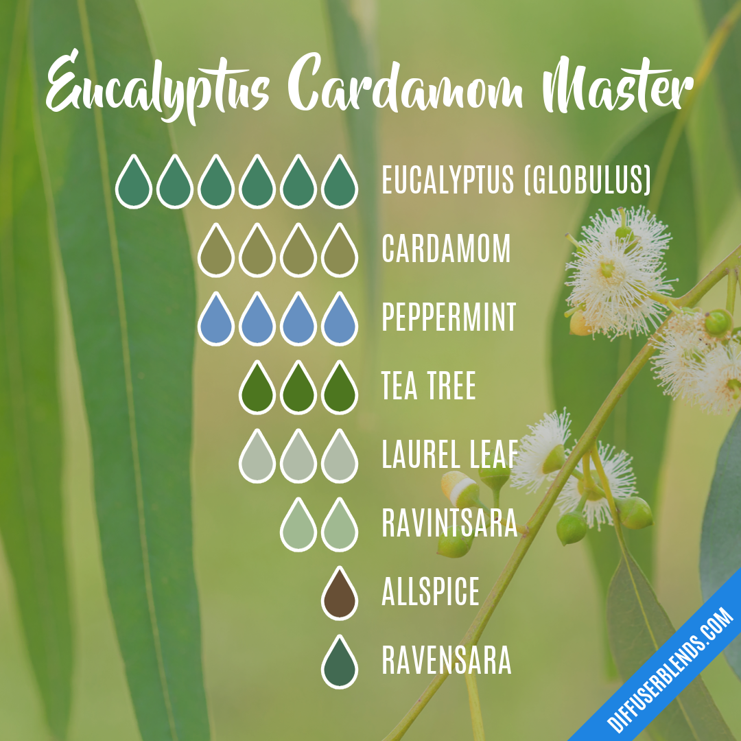 Eucalyptus Cardamom Master — Essential Oil Diffuser Blend