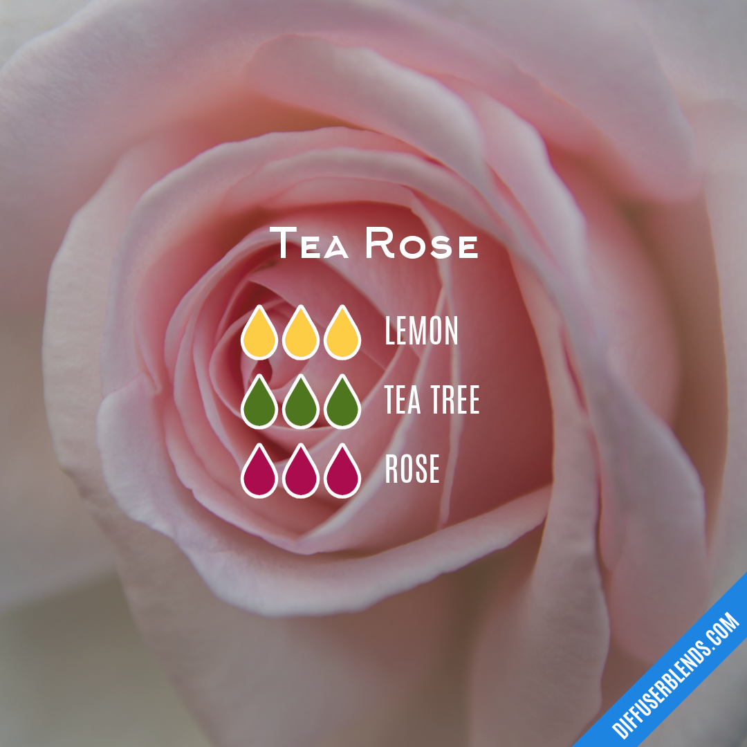 Tea Rose — Essential Oil Diffuser Blend