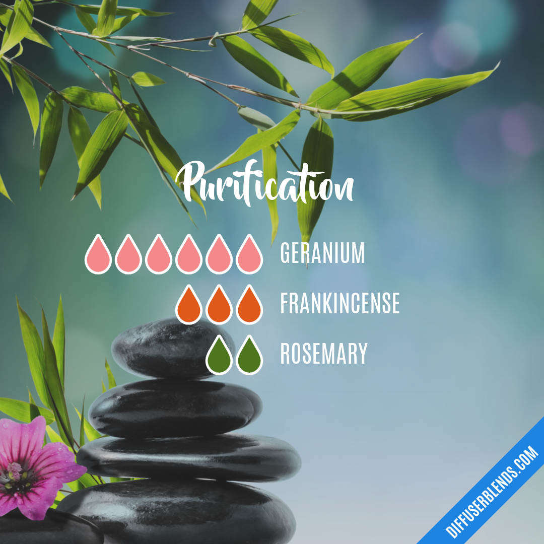 Purification — Essential Oil Diffuser Blend