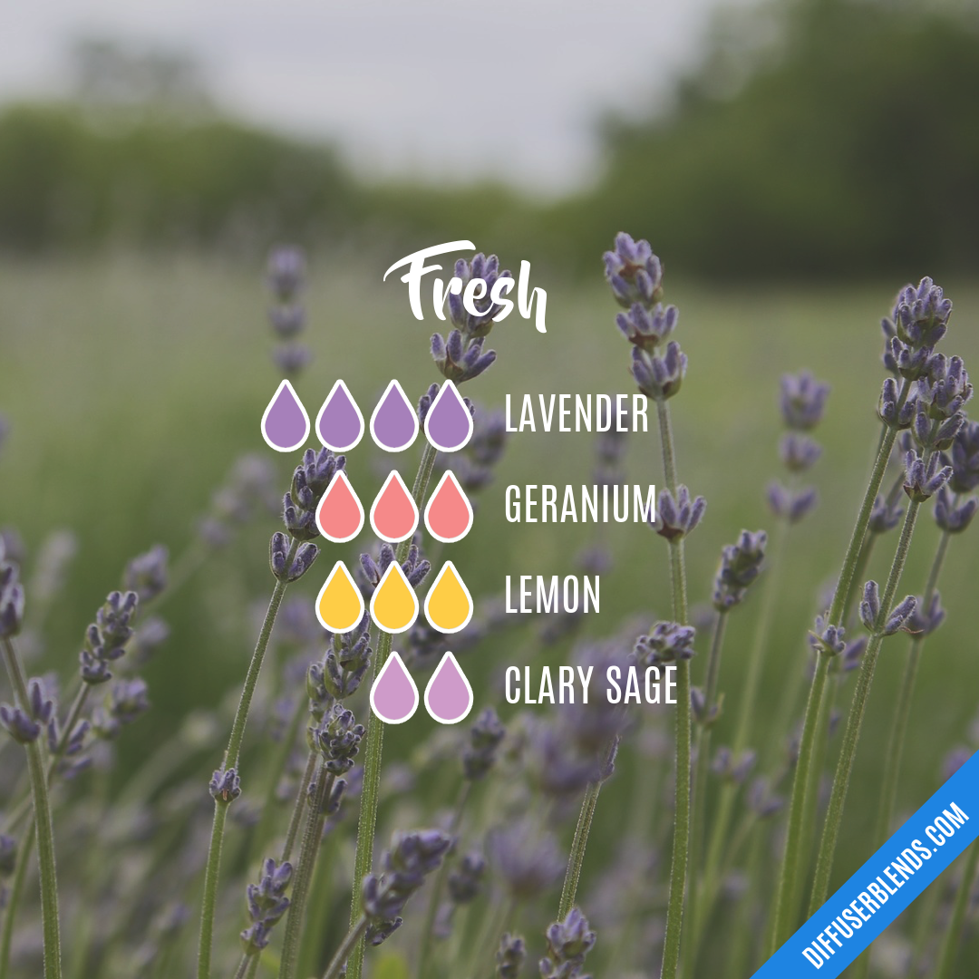 Fresh — Essential Oil Diffuser Blend