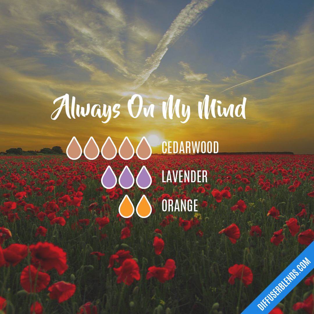 Always On My Mind — Essential Oil Diffuser Blend