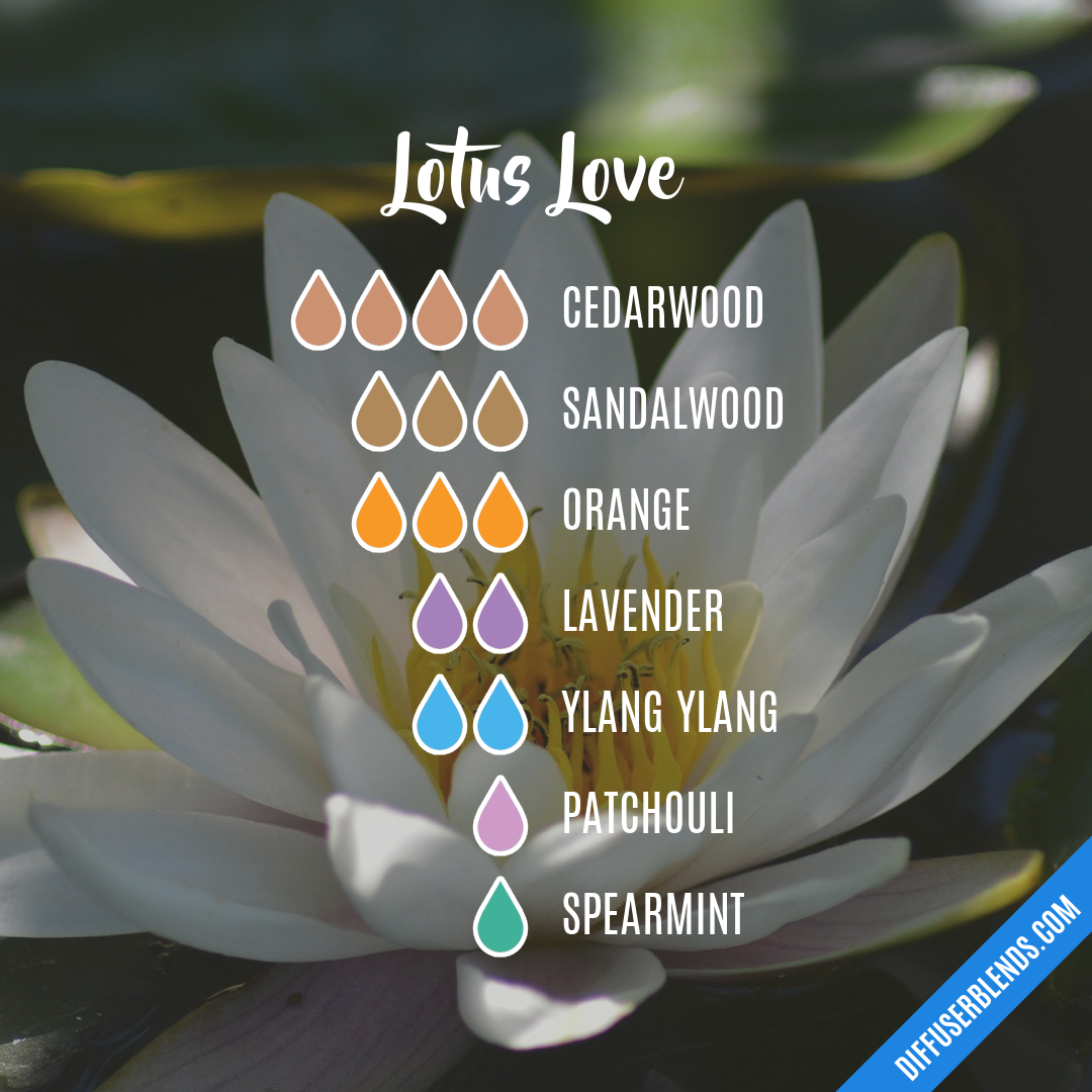 Love Spell  Essential oil diffuser blends, Aroma blend, Oil diffuser blends