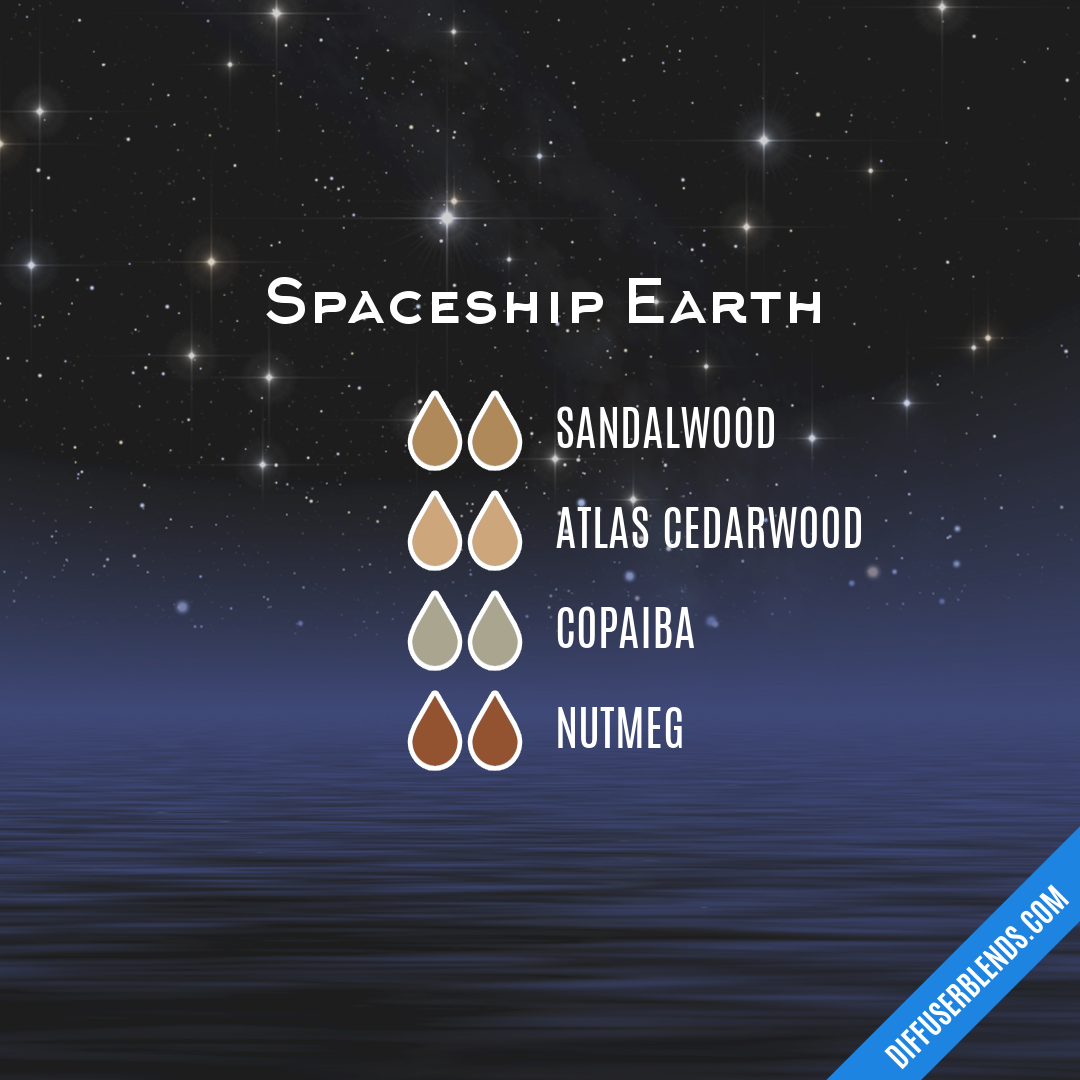 Spaceship Earth — Essential Oil Diffuser Blend