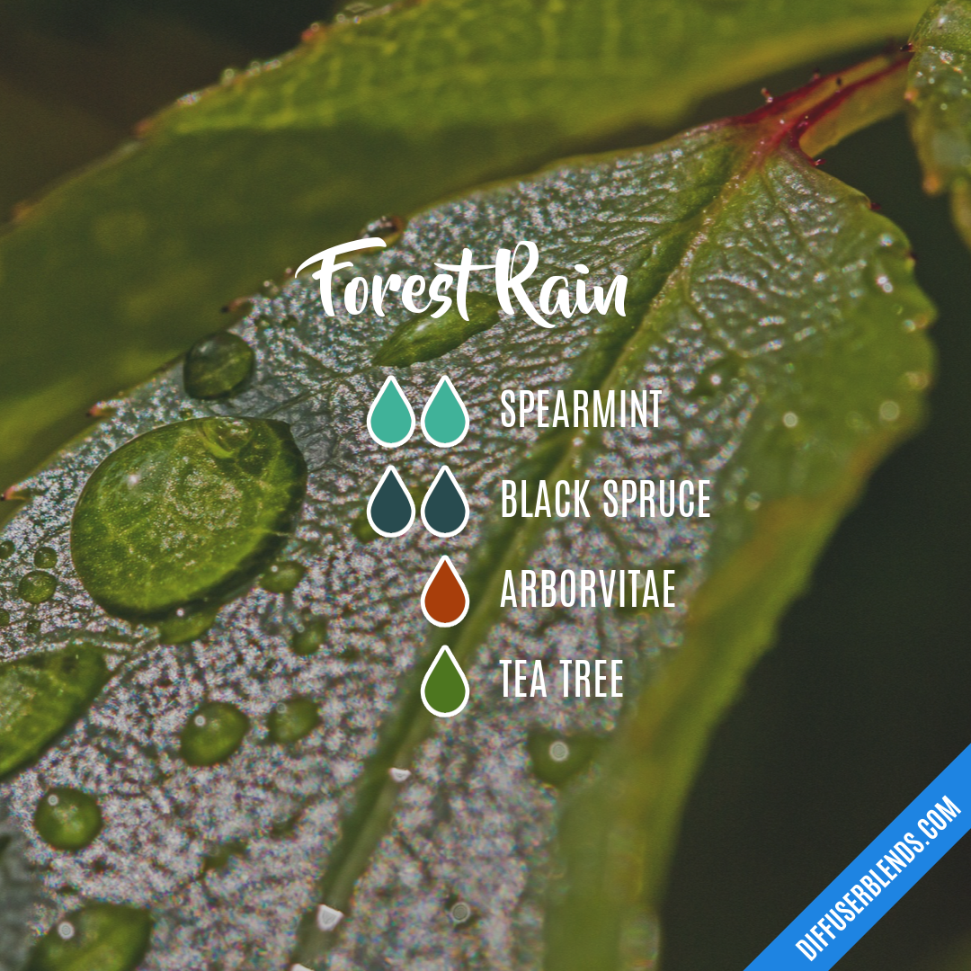 Forest Rain — Essential Oil Diffuser Blend