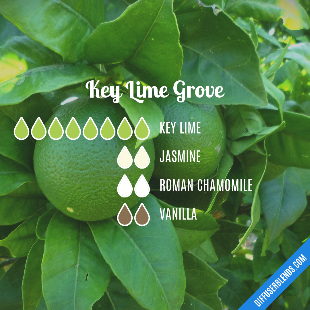 Key Lime Grove — Essential Oil Diffuser Blend