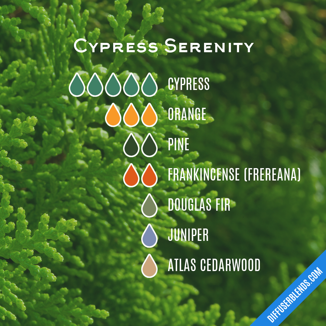 Cypress Serenity — Essential Oil Diffuser Blend