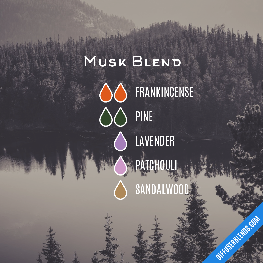 Musk Blend — Essential Oil Diffuser Blend