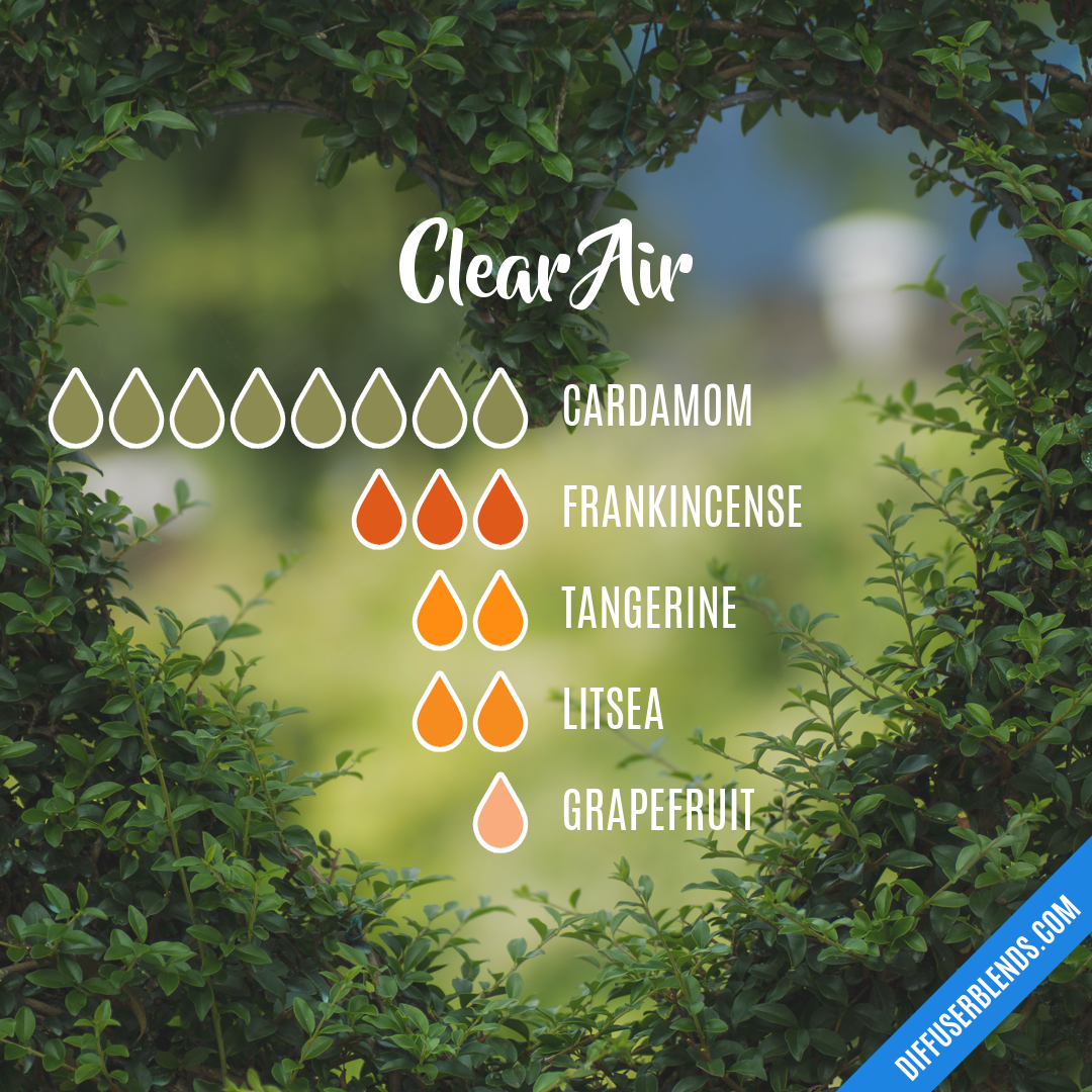 Clear Air — Essential Oil Diffuser Blend