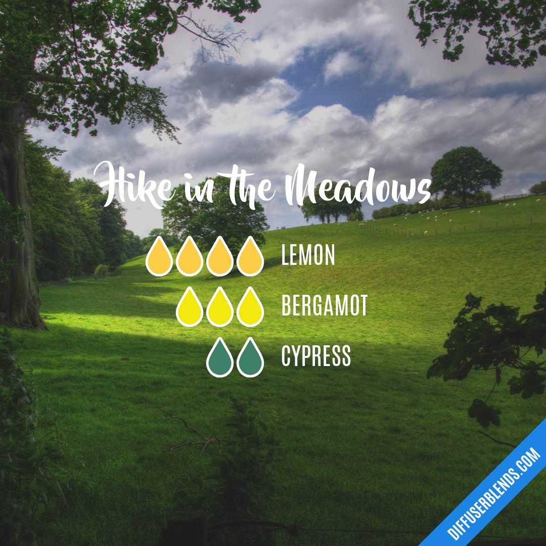 Hike in the Meadows | DiffuserBlends.com