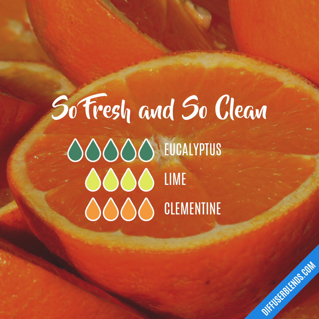 So Fresh and So Clean | DiffuserBlends.com