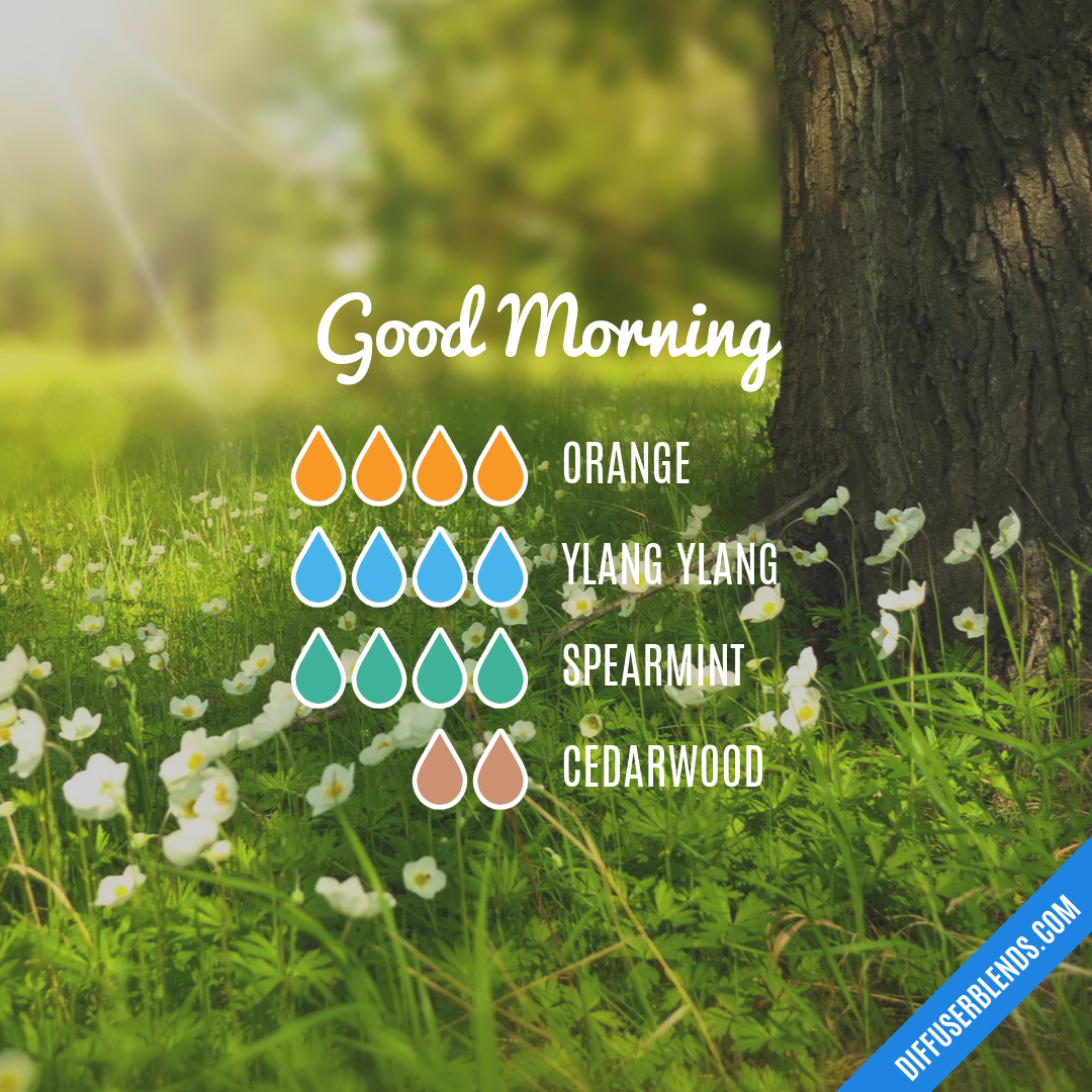 Good Morning — Essential Oil Diffuser Blend