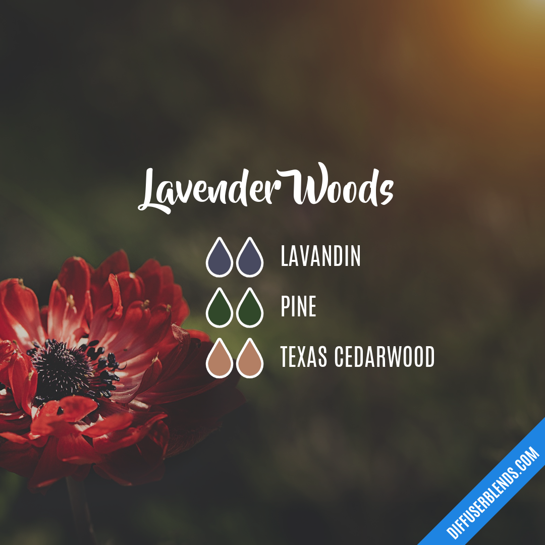 Lavender Woods — Essential Oil Diffuser Blend