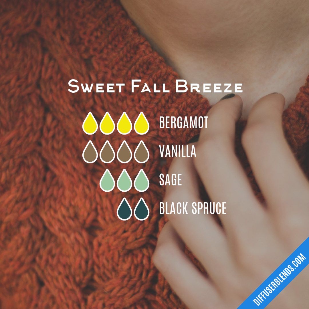 Sweet Fall Breeze — Essential Oil Diffuser Blend