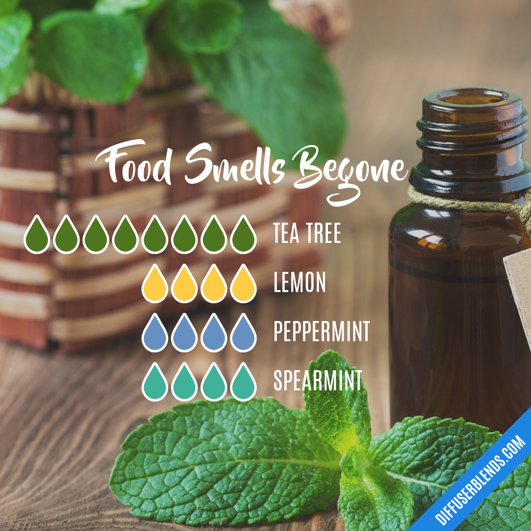 Food Smells Begone — Essential Oil Diffuser Blend