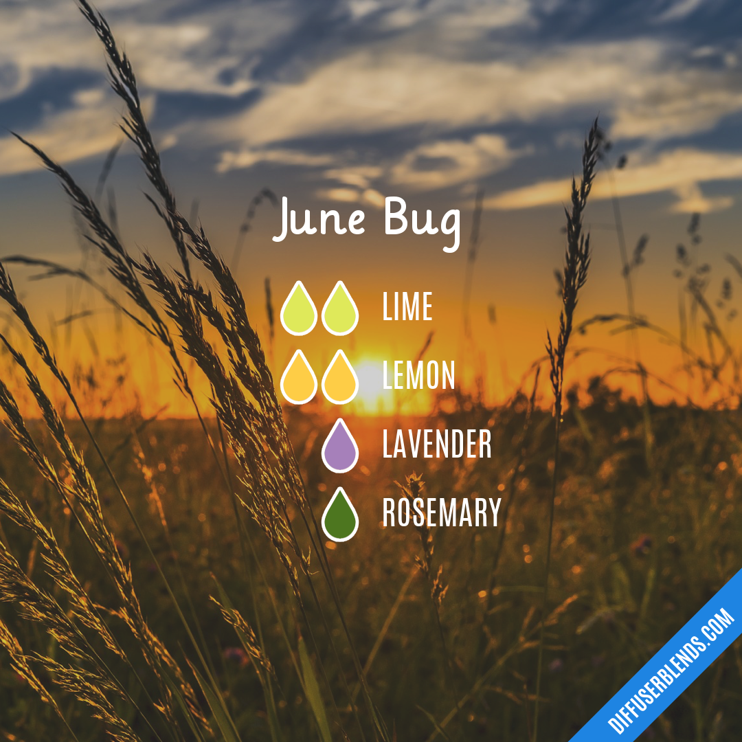 June Bug — Essential Oil Diffuser Blend