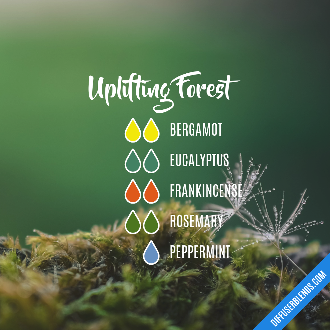 Uplifting Forest | DiffuserBlends.com