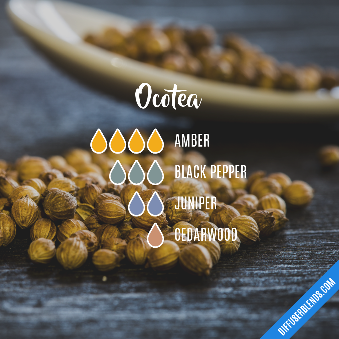 Ocotea — Essential Oil Diffuser Blend