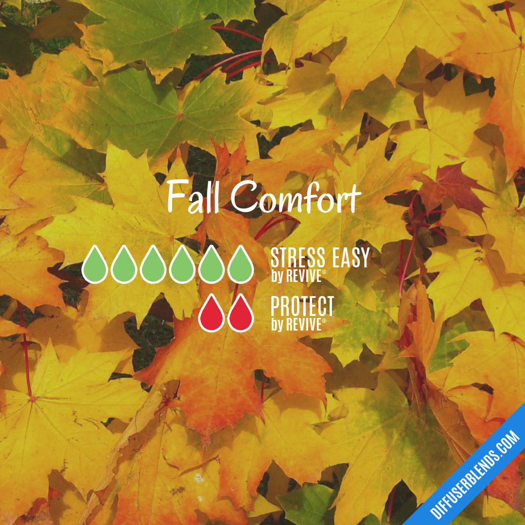 Fall Comfort — Essential Oil Diffuser Blend