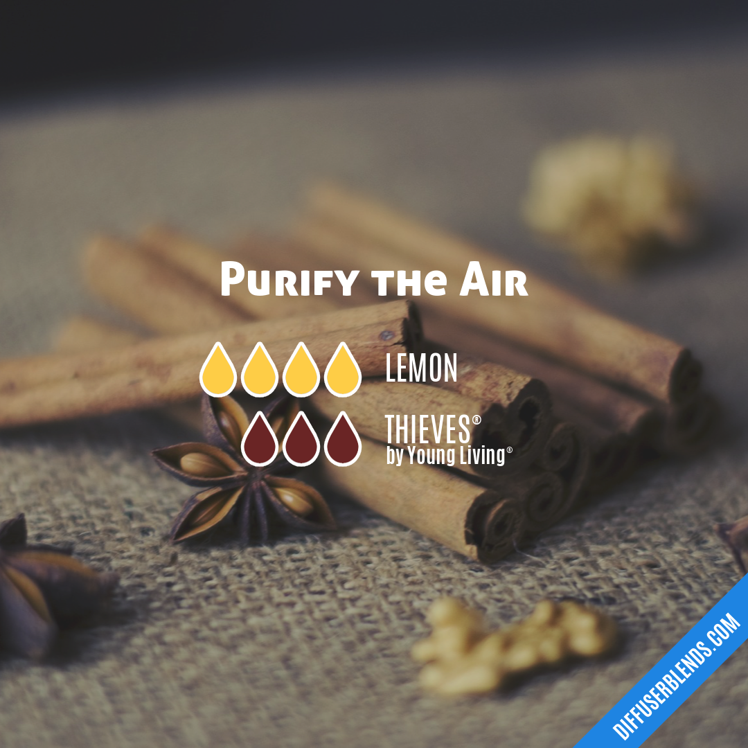 Purify the Air — Essential Oil Diffuser Blend