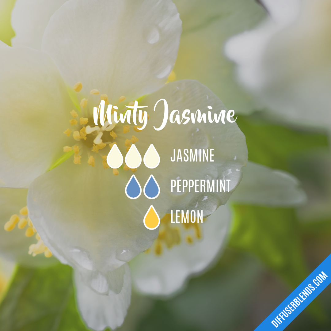 Minty Jasmine — Essential Oil Diffuser Blend