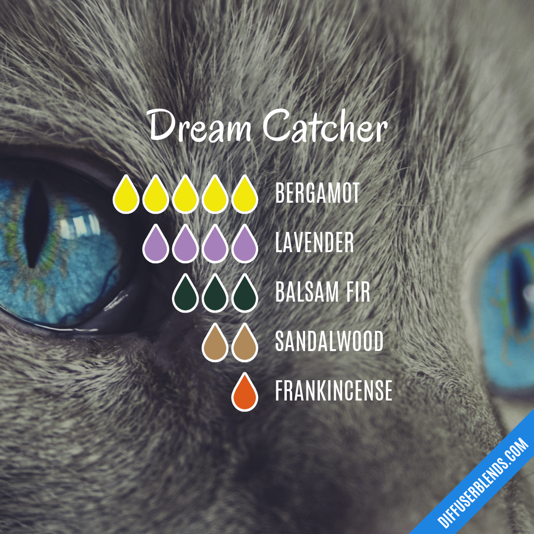 Dream Catcher — Essential Oil Diffuser Blend